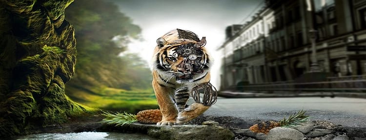 Original SS Box HD tiger — nature and technology